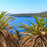 Two Palm Trees דוברובניק