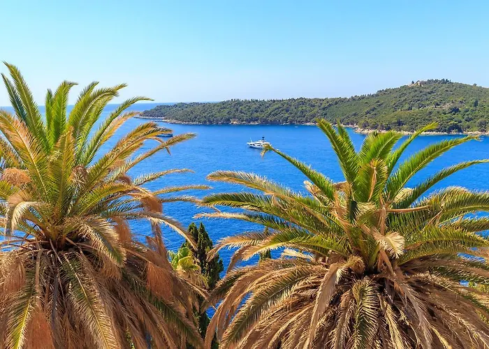 Two Palm Trees Dubrovník