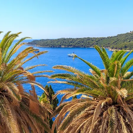 Two Palm Trees דוברובניק